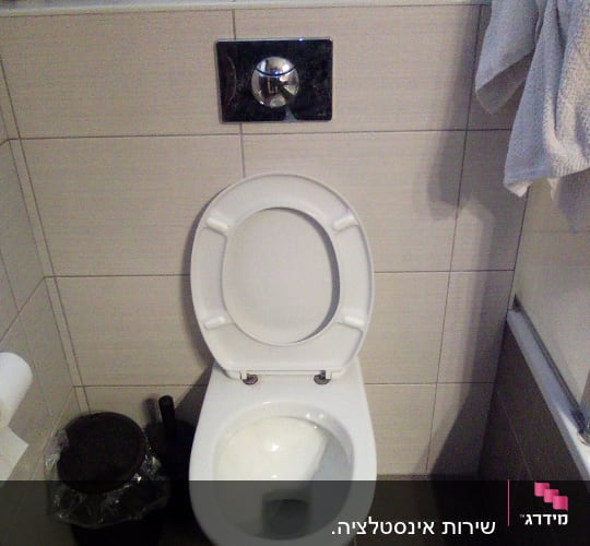 אסלה, מיכל הדחה ומברשת שירותים בחדר אמבטיה